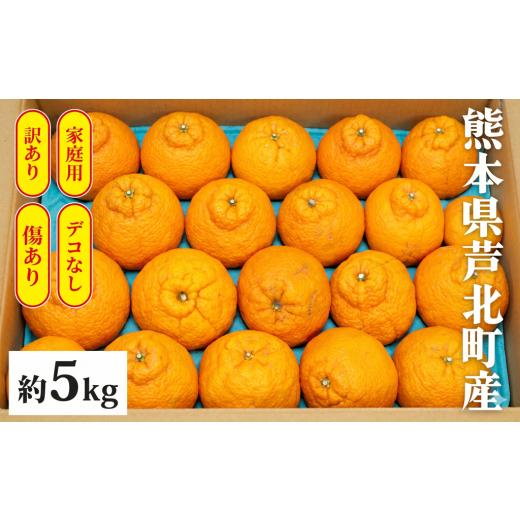 ふるさと納税 みかん・柑橘類 デコポン 熊本県 芦北町 B400-10 デコポン5kg ご家庭用