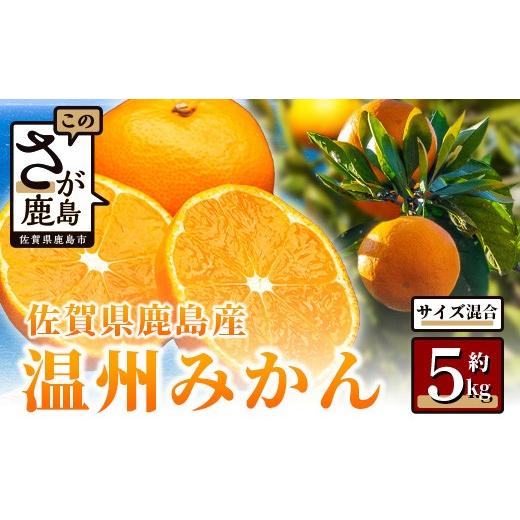 ふるさと納税 果物類 みかん 佐賀県 鹿島市 温州みかん 約5kg 佐賀県鹿島産 | [先行受付11月上旬より発送予定]みかん ミカン 甘い サイズ混合 小玉含む フル…