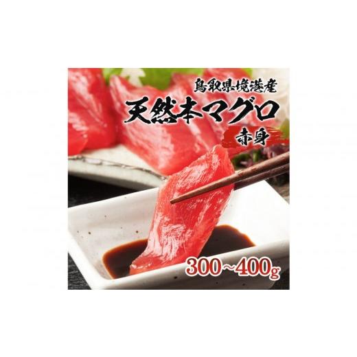ふるさと納税 マグロ 鳥取県 境港市 天然本マグロ(黒マグロ) 赤身300〜400g | 本マグロ クロマグロ 黒マグロ 天然マグロ マグロ まぐろ 刺身用 サク 柵 海鮮 …