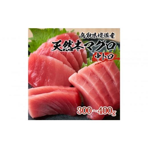 ふるさと納税 マグロ 鳥取県 境港市 天然本マグロ(黒マグロ) 中トロ300〜400g | 本マグロ クロマグロ 黒マグロ 天然マグロ マグロ まぐろ 刺身用 サク 柵 海…