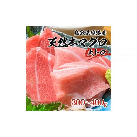 ふるさと納税 マグロ 鳥取県 境港市 天然本マグロ(黒マグロ) 大トロ300〜400g | 本マグロ クロマグロ 黒マグロ 天然マグロ マグロ まぐろ 刺身用 サク 柵 海…