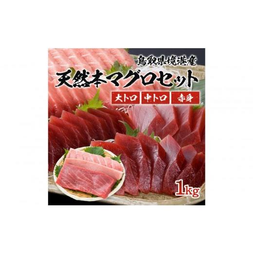 ふるさと納税 マグロ 鳥取県 境港市 天然本マグロ(黒マグロ) 3点セット(大トロ・中トロ・赤身) 1kg | 本マグロ クロマグロ 黒マグロ 天然マグロ マグロ まぐ…