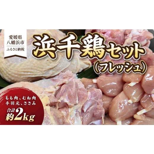 ふるさと納税 鶏肉 セット 愛媛県 八幡浜市 浜千鶏セット(フレッシュ) C29-1 _鶏肉 とりにく とり肉 鳥肉 モモ肉 むね肉 手羽元 ささみ ササミ セット 食べ比…
