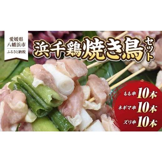 ふるさと納税 鶏肉 焼き鳥 愛媛県 八幡浜市 浜千鶏焼き鳥セット C29-2 1487888