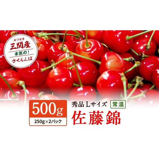 ふるさと納税 果物類 さくらんぼ 秋田県 湯沢市 職人が本気で作ったこだわりのさくらんぼ 秋田県三関(みつせき)産 令和8年産先行予約 さくらんぼ 佐藤錦 秀…