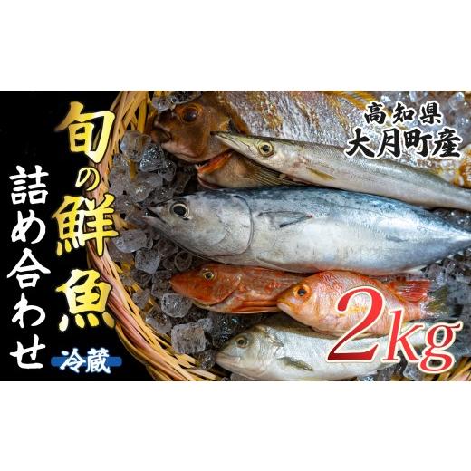 ふるさと納税 旬の鮮魚等 高知県 大月町 高知県産 鮮魚 詰め合わせ便 2kg 谷鮮魚食堂 内臓未処理 産地直送 生魚 海鮮 セット 刺身 刺し身 煮付け カツオのたた…