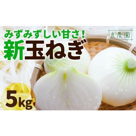 ふるさと納税 セット・詰合せ 群馬県 前橋市 新玉ねぎ 5kg | 減農薬 野菜ソムリエ みずみずしい 旬野菜 生野菜 サラダ ギフト レシピ 贈り物 国産 朝採れ 新鮮…