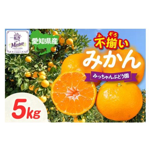 ふるさと納税 果物類 みかん 愛知県 東浦町 先行予約 2026年12月発送 訳あり 不揃いみかん・5kg×1箱│フルーツ 果物 オレンジ 甘い 産地直送 柑橘 大容量 お…