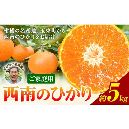 ふるさと納税 果物類 みかん 熊本県 玉東町 西南のひかり 約5kg さかもと果樹園[12月中旬-12月末頃出荷]熊本県 玉名郡 玉東町 みかん 柑橘 フルーツ 果物 ご…