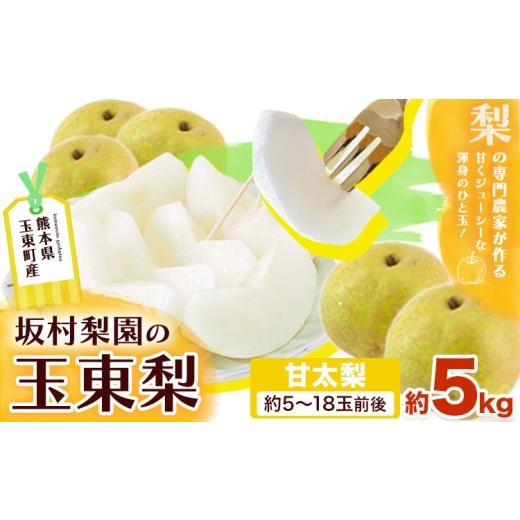 ふるさと納税 梨 熊本県 玉東町 梨 なし 甘太梨 約5kg(5〜18玉前後) 坂村梨園 [8月中旬-11月上旬頃出荷]熊本県 玉東町 秋 旬 梨 フルーツ 果物 期間限定