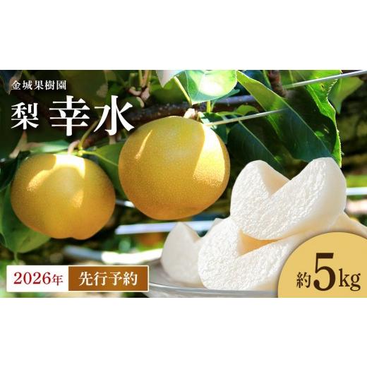 ふるさと納税 梨 宮城県 角田市 2026年先行予約 金城果樹園 梨「幸水」約5kg(10〜16玉入)2026年8月中旬〜順次発送