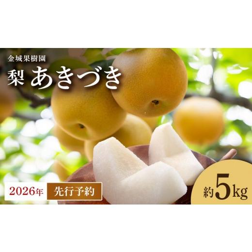 ふるさと納税 梨 宮城県 角田市 2026年先行予約 金城果樹園 梨「あきづき」約5kg(8〜14玉入)2026年9月中旬〜順次発送