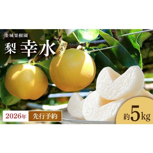 ふるさと納税 梨 宮城県 角田市 訳あり/2026年先行予約 金城果樹園 梨「幸水」約5kg(10〜16玉入)2026年8月中旬〜順次発送
