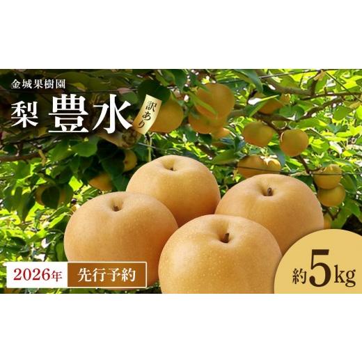 ふるさと納税 梨 宮城県 角田市 訳あり/2026年先行予約 金城果樹園 梨「豊水」約5kg(8〜14玉入)2026年9月初旬〜順次発送