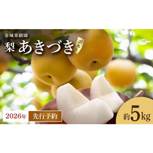 ふるさと納税 梨 宮城県 角田市 訳あり/2026年先行予約 金城果樹園 梨「あきづき」約5kg(8〜14玉入)2026年9月中旬〜順次発送