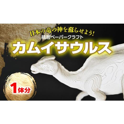 ふるさと納税 雑貨・日用品 玩具 北海道 むかわ町 日本の竜の神を蘇らせよう 積層ペーパークラフト「カムイサウルス」 ふるさと納税 人気 おすすめ ランキング…
