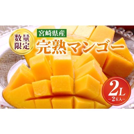 ふるさと納税 マンゴー 宮崎県 宮崎市 [2026年発送先行予約] 数量・期間限定 完熟マンゴー 2Lサイズ×2玉| マンゴー 350g以上 2個 宮崎 宮崎マンゴー 果物…