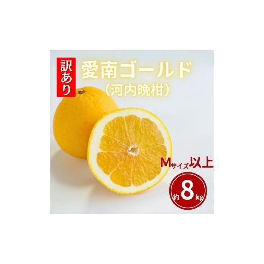 ふるさと納税 果物類 みかん 愛媛県 愛南町 ふるさと納税 先行予約 訳あり 愛南ゴールド 約8kg Mサイズ以上 河内晩柑 柑橘 フルーツ 果物 蜜柑 みかん くだも…