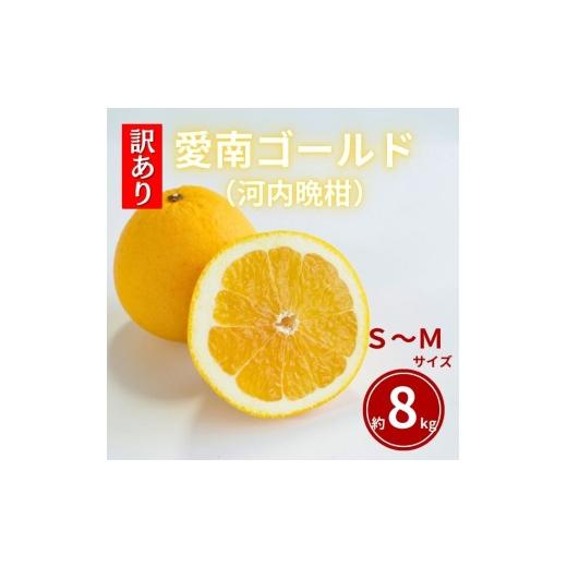 ふるさと納税 果物類 みかん 愛媛県 愛南町 ふるさと納税 訳あり 愛南ゴールド S〜Mサイズ 約8kg 河内晩柑 柑橘 フルーツ 果物 蜜柑 みかん くだもの 家庭用 …