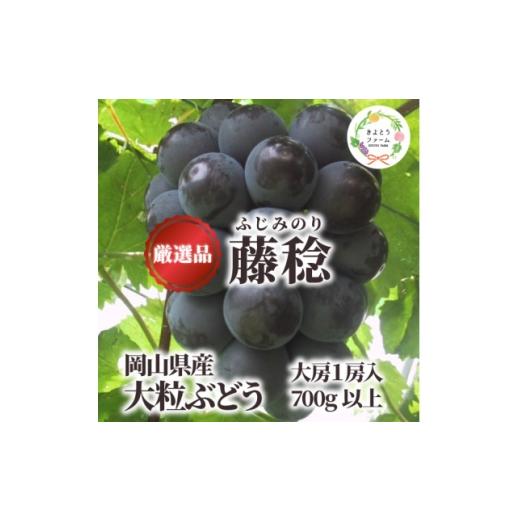 ふるさと納税 ぶどう 岡山県 津山市 大粒葡萄の「藤稔」 大サイズ1房 厳選品 1房700g〜 (岡山県産) ギフトにおすすめの人気葡萄 1721884