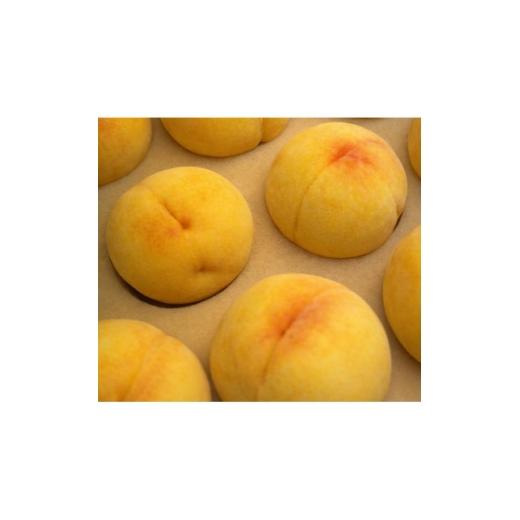 ふるさと納税 もも 岡山県 津山市 先行受付|8月下旬頃より順次発送 岡山県産『黄金桃』 約1kg(3〜4玉) 1726916