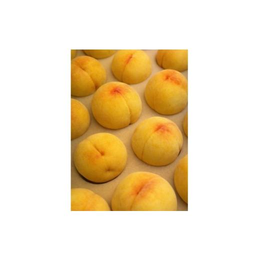 ふるさと納税 もも 岡山県 津山市 先行受付|8月下旬頃より順次発送 岡山県産『黄金桃』 約2kg(6~8玉) 1726917