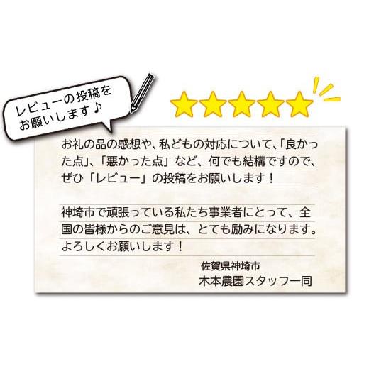 ふるさと納税 米 さがびより 佐賀県 神埼市 令和8年産 新米先行受付 さがびより 無洗米 5kg 3ヶ月定期便 さがびより 無洗米 5kg お米 おいしい ランキング 人…