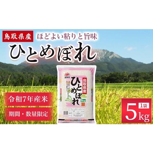 ふるさと納税 米 ひとめぼれ 鳥取県 倉吉市 通常発送 数量限定 令和7年産米 鳥取県産ひとめぼれ(5kg) パールライス 令和7年産米 精米 お米 米 こめ コメ 白…