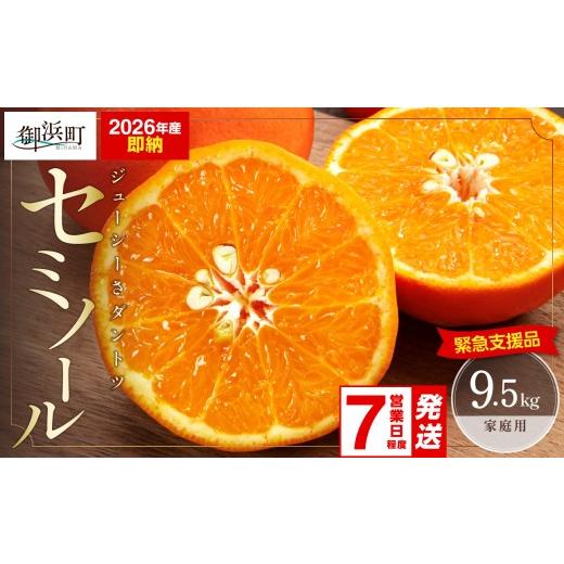 ふるさと納税 果物類 みかん 三重県 御浜町 緊急支援品 [入金確認〜7営業日発送]ジューシーさダントツ ミカファームのセミノール9.5キロ(家庭用) 数量限定 …