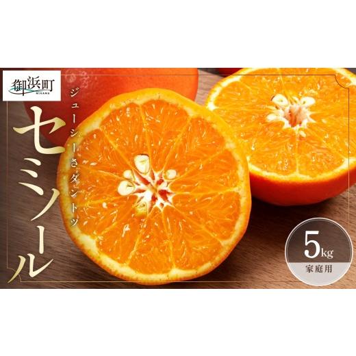 ふるさと納税 果物類 みかん 三重県 御浜町 2027年発送先行予約品 ジューシーさダントツ ミカファームのセミノール5キロ(家庭用) 数量限定 果物 フルーツ み…