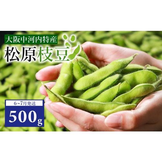 ふるさと納税 豆類 枝豆 大阪府 松原市 先行予約 濃厚な甘み 有機肥料 枝豆 大粒 選べる 500g ぷっくりホクホク食感 えだまめ 夏野菜 旬 産地直送 冷蔵 お中…