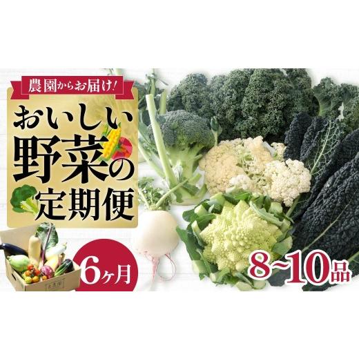 ふるさと納税 セット・詰合せ 群馬県 前橋市 西洋野菜 一般野菜 旬野菜セット 8〜10品 定期便 6ヶ月 | 減農薬 野菜ソムリエ 旬野菜 イタリア野菜 珍しい 食べ…