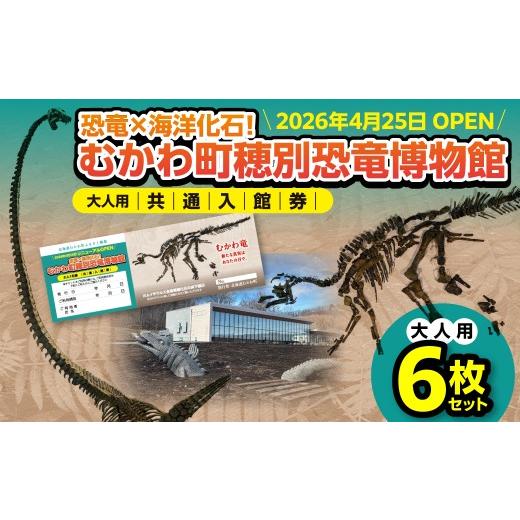 ふるさと納税 入場券・優待券 北海道 むかわ町 令和8年4月25日OPEN 恐竜×海洋化石 むかわ町穂別恐竜博物館 共通入館券 大人用6枚セット MKWAM002 ふるさと…