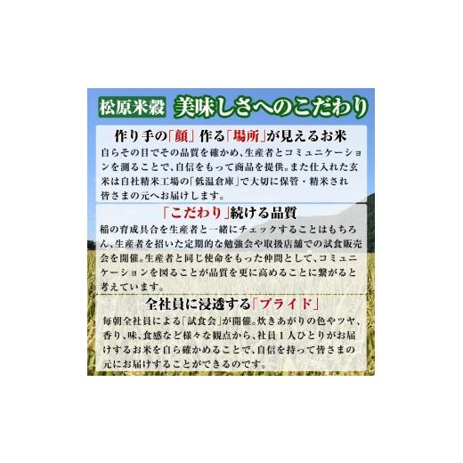 ふるさと納税 米 北海道 士別市  令和8年産・先行予約受付 《 定期便・全9回 》上士別の生産者がつくるななつぼし (2kg×9回・計18kg) 2026年11月以降順次発送…_6