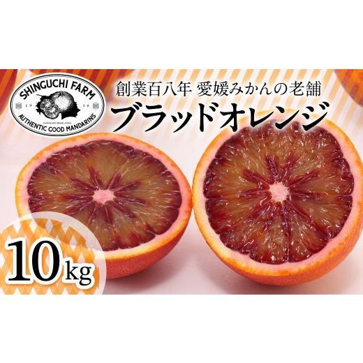 ふるさと納税 みかん・柑橘類 オレンジ 愛媛県 八幡浜市 太陽の恵みをギュッと凝縮 ブラッドオレンジ 10kg 愛媛県産 G70-19 1470694