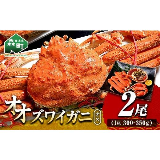 ふるさと納税 カニ ずわいガニ 北海道 森町 オオズワイガニ オス姿 2尾 300〜350g前後×2尾 海鮮問屋 株式会社 瑞宝 かに カニ 蟹 ガニ がに 海鮮 森町 北海…