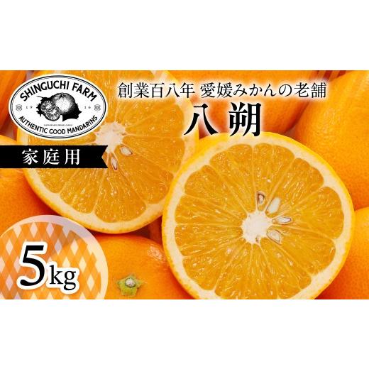 ふるさと納税 みかん・柑橘類 愛媛県 八幡浜市 大人の味わい 八朔 5kg『さっぱりとした甘みとほろ苦さ』 C70-28 1470659