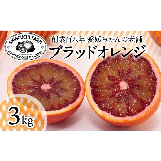ふるさと納税 みかん・柑橘類 愛媛県 八幡浜市 太陽の恵みをギュッと凝縮 ブラッドオレンジ 3kg 愛媛県産 C70-69 1615814