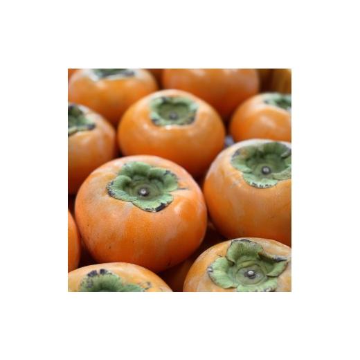 ふるさと納税 果物類 柿 鳥取県 八頭町 輝太郎(赤秀)3kg