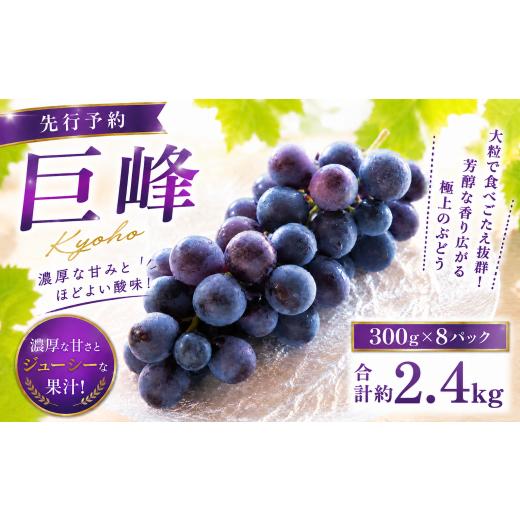 ふるさと納税 ぶどう 巨峰 福岡県 柳川市 先行予約 巨峰 300g×8パック 合計約2.4kg ぶどう ブドウ 葡萄 グレープ フルーツ 果物 果実 福岡県 柳川市 国産 20…