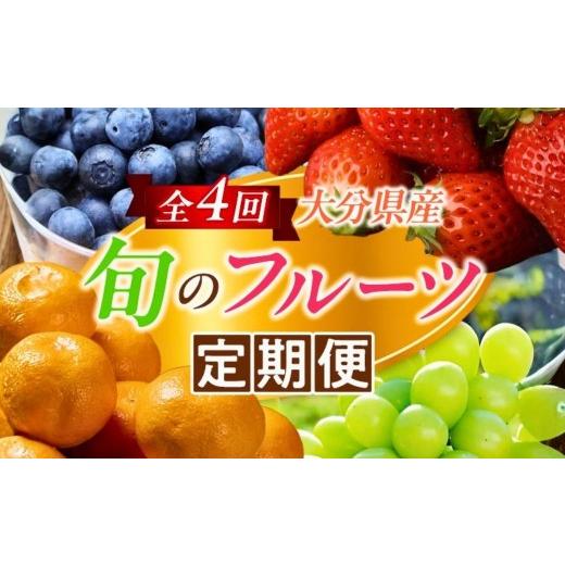 ふるさと納税 いちご 大分県 津久見市 フルーツ 定期便 大分県産 旬のフルーツ定期便(全4回) | フルーツ定期便 定期便フルーツ フルーツ数量限定 ブルーベ…