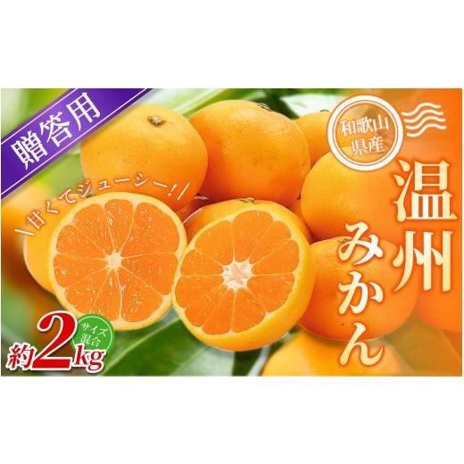 ふるさと納税 果物類 みかん 和歌山県 かつらぎ町 贈答用 森本農園の手選別 みかん 約2kg 和歌山県産 2S~2Lサイズ混合 北海道・沖縄・離島配送不可 2026年10…