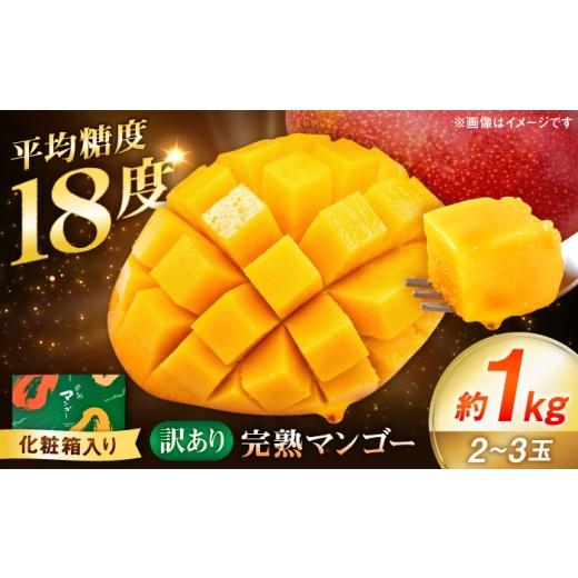 ふるさと納税 マンゴー 熊本県 合志市 先行予約 訳あり 完熟マンゴー約1kg(2〜3玉) 宮本マンゴー農園