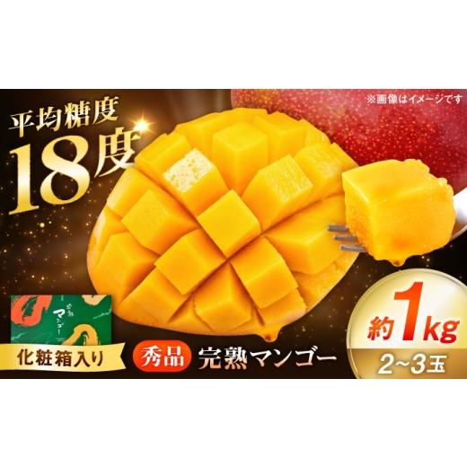 ふるさと納税 マンゴー 熊本県 合志市 先行予約 秀品 完熟マンゴー約1kg(2〜3玉) 宮本マンゴー農園