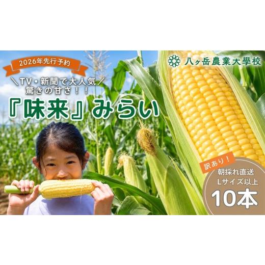 ふるさと納税 とうもろこし 長野県 原村 訳あり 朝採れ 直送 フルーツのような甘さ 『 皮付き 』 生とうもろこし 10本 | 八ヶ岳農業大学校 トウモロコシ サイ…
