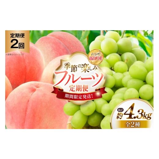 ふるさと納税 ぶどう マスカット 山形県 高畠町 期間限定発送 フルーツ 2回 定期便 桃 シャインマスカット JA山形おきたま 山形県 高畠町 tk06ays870061 果物…