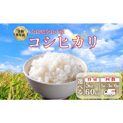 ふるさと納税 玄米 奈良県 奈良市 新米予約 令和8年産 新米 5kg 玄米 コシヒカリ 数量限定 お米 単発 選べる 容量 米 5kg おこめ コメ 精米 国産 こしひかり …