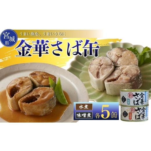 ふるさと納税 缶詰・瓶詰 魚貝類 宮城県 東松島市 木の屋 さば缶 食べ比べ 缶詰 食べ比べセット 10缶 (2種 各5缶) 水煮 味噌煮 鯖 さば サバ 金華さば 金華 …