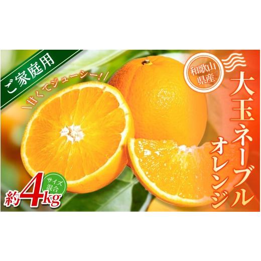 ふるさと納税 みかん・柑橘類 和歌山県 かつらぎ町 訳あり・ご家庭用 森本農園の手選別 大玉ネーブルオレンジ 約4kg 和歌山県産 サイズ混合 北海道・沖縄・離…