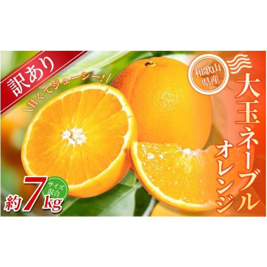 ふるさと納税 みかん・柑橘類 和歌山県 かつらぎ町 訳あり・ご家庭用 森本農園の手選別 ネーブルオレンジ 約7kg 和歌山県産 サイズ混合 北海道・沖縄・離島配…